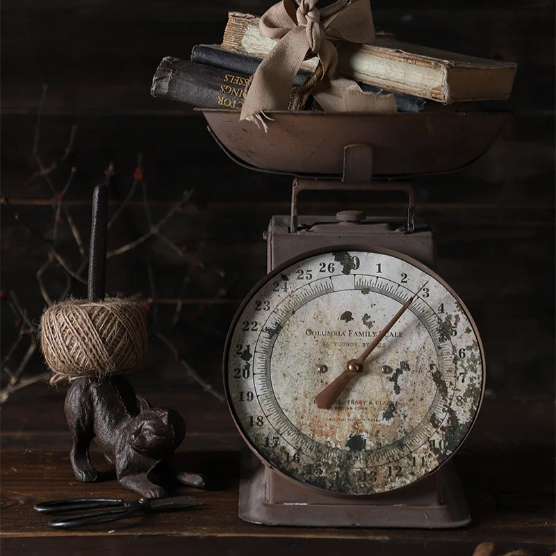 Échelle Vintage pour le style  - Photography Still Life avis et prix