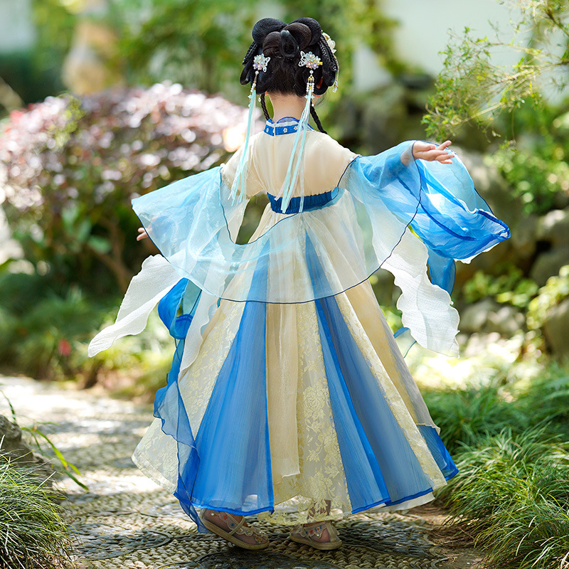 Robe Hanfu traditionnelle chin - Photography Of The Year avis et prix